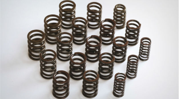 Valve Springs